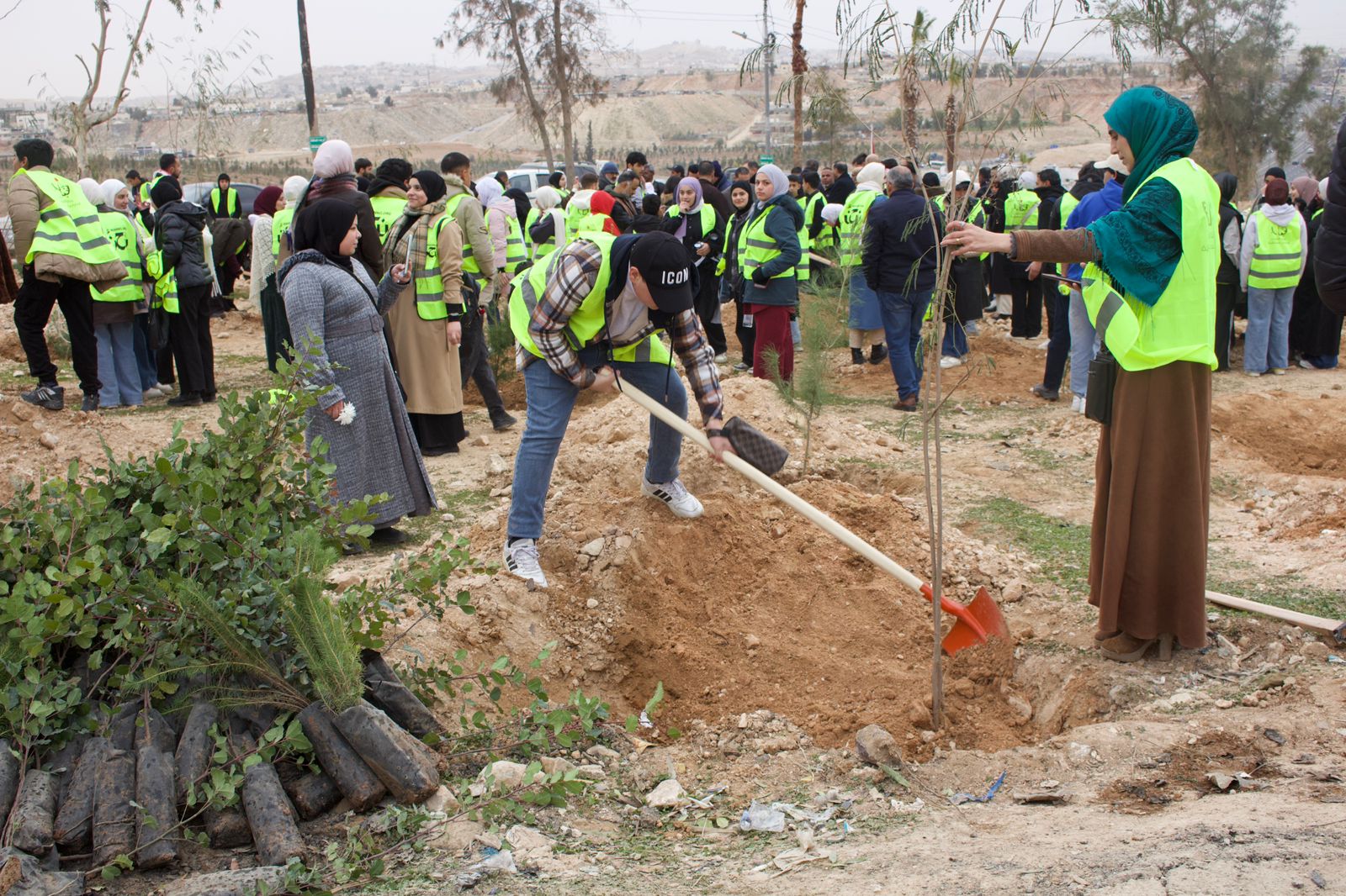 82538fc4-2b33-4ddd-80b5-0b087603ee59